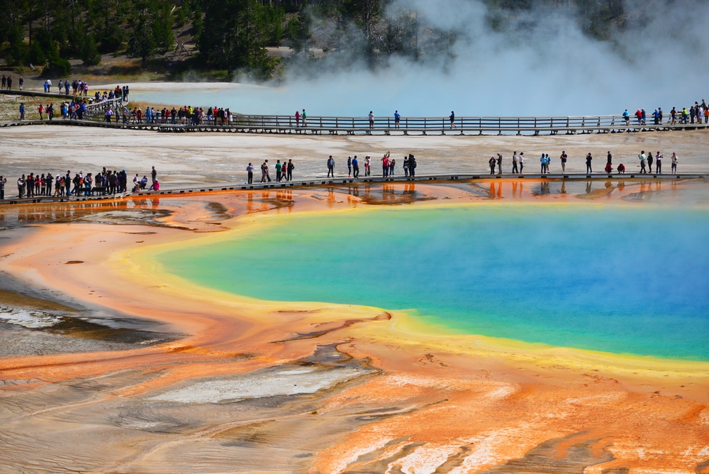 Best Time to Visit Yellowstone