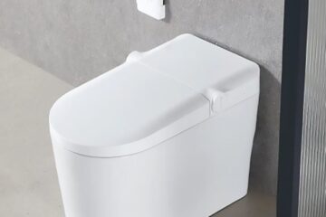 Floor-Mounted Toilet