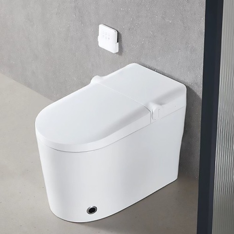 Floor-Mounted Toilet